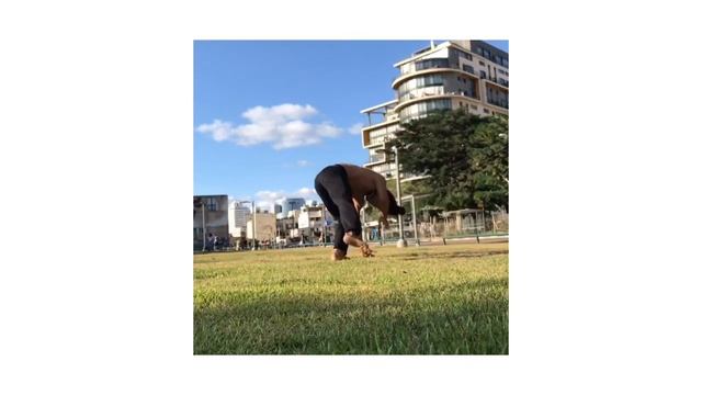 Workout • capoeira and movements, acrobatics. CORDÃO DE OURO ISRAEL 2020 Zezim CDO смотреть онлайн