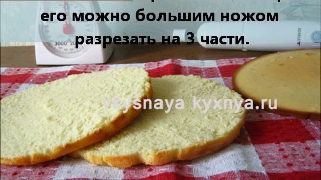 Домашние Животные и Их Уход