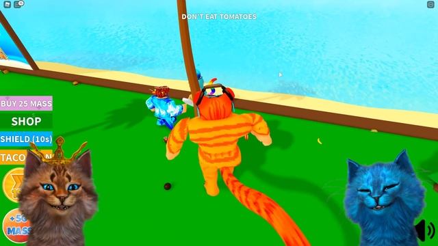 СЪЕШЬ КАК МОЖНО БОЛЬШЕ ЧТОБЫ ВЫЖИТЬ в ROBLOX Весёлый Кот и КОТЁНОК ЛАЙК смотреть онлайн