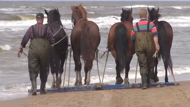 Paardenreddingboot Ameland in Katwijk HDCX730 смотреть онлайн