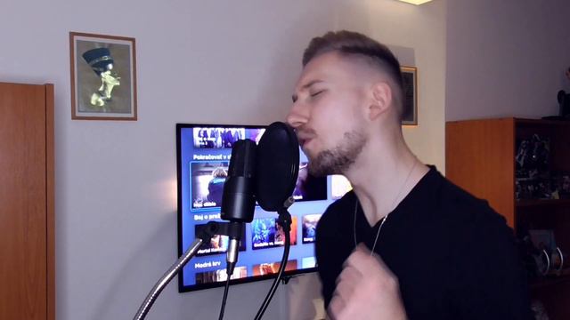 What I've Done - LINKIN PARK | vocal / guitar cover by Robo Vida | sE Electronics X1 S | 2021 смотреть онлайн