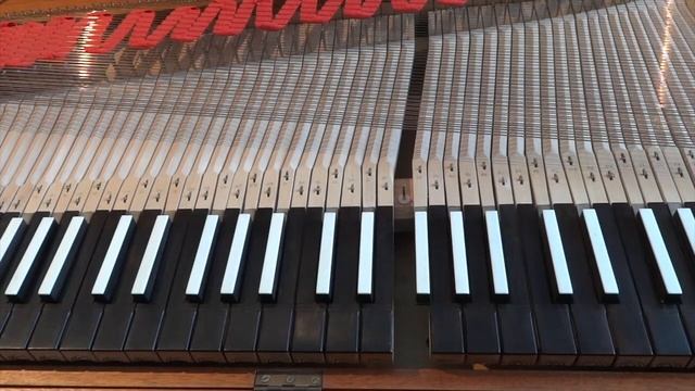 CBH Removing & replacing a clavichord key смотреть онлайн