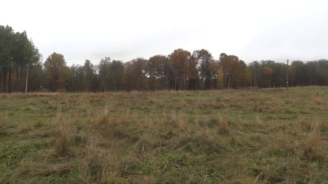 д. Новожилово