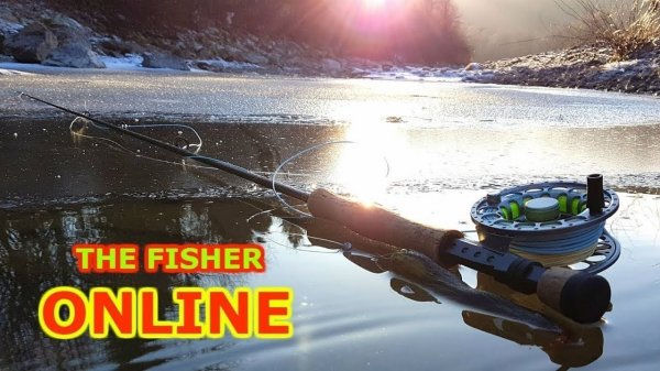 Fisher Online