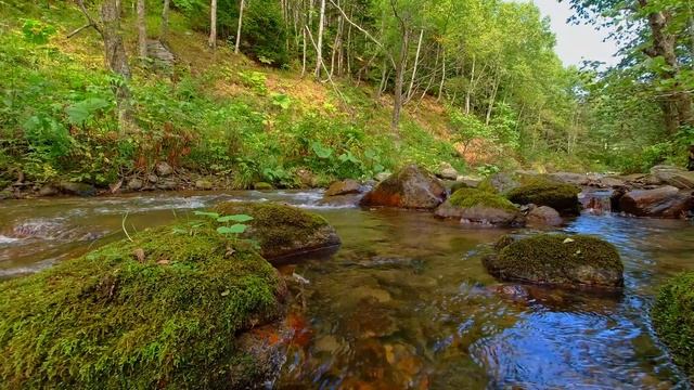 5 Минут расслабляющей музыки для Отдыха или короткой Медитации смотреть онлайн