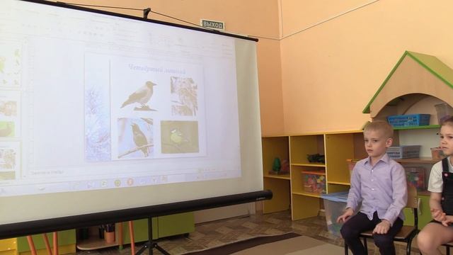 ООД по ознакомлению с окружающим миром в старшей группе "Перелетные и зимующие птицы" смотреть онлайн