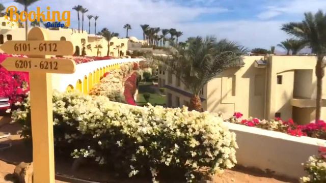 Grand Oasis Resort 4* Sharm El Sheikh Hotels, Egypt 2021 смотреть онлайн