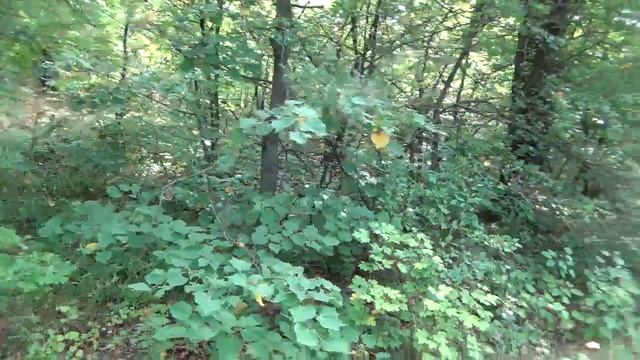 белгород обзор города красивые места в Белгороде смотреть онлайн