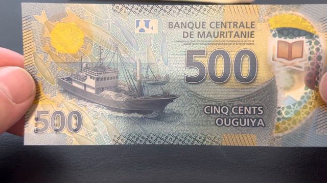 Полимерные банкноты с разных материков / Polymer Banknotes From Different Continents