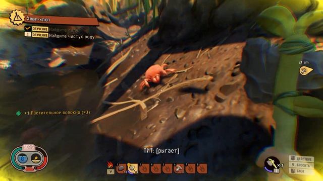 Grounded | Первые шаги | Таинственная машина | Новый The Forest #1