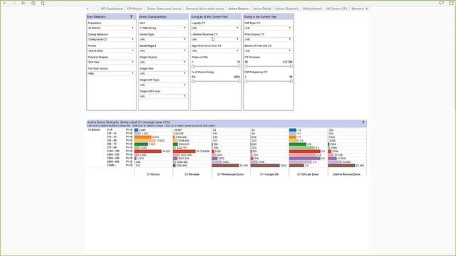 Target Analytics: donorCentrics Advanced Performance Dashboards смотреть онлайн