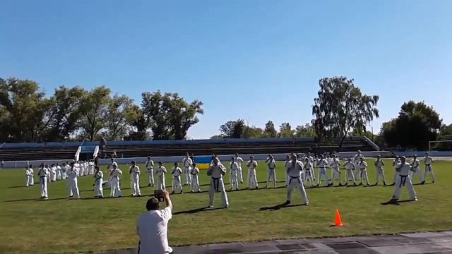 Показательное выступление киокушин-кан каратэ смотреть онлайн