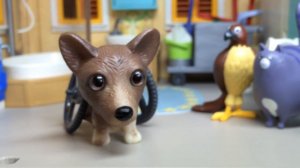 Тайная жизнь домашних животных 3