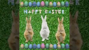 happy easter - thefatrat - time lapse. dancing rabbits