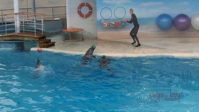 Крым в сентябре - Коктебель - Морячок Папай - Морская прогулка - Карадаг - Дельфинарий смотреть онлайн