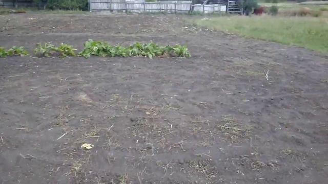 38.ДЕЛА ДОМАШНИЕ-ДЕЛА ЖИТЕЙСКИЕ ОТ НИХ НИКУДА НЕ УБЕЖАТЬ!ГЛАЗА БОЯТСЯ-РУКИ ДЕЛАЮТ!ПОШЛИ ПРОГУЛЯЕМСЯ