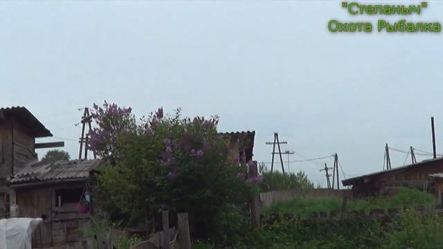 Соловей... Давайте, Друзья, посмотрим и послушаем "соловья". Июнь 2022 смотреть онлайн