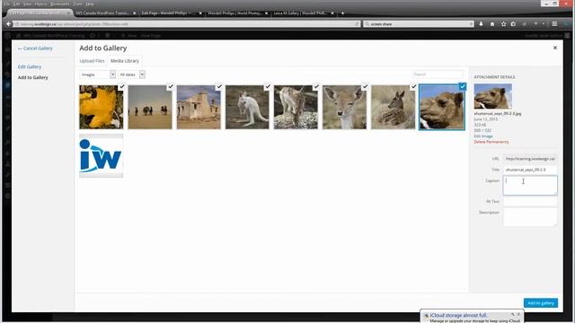 WordPress Image Gallery Divi смотреть онлайн
