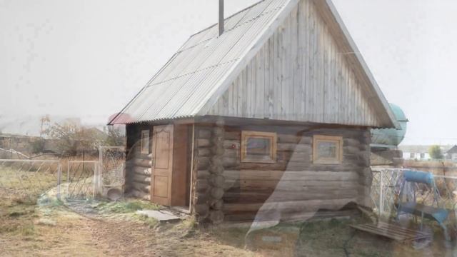 Сельское хозяйство Северного Казахстана. О том, как работает ТОО 