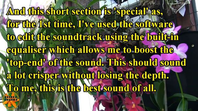 Let's Point the Camera at Some Blooms and Try the New Microphone смотреть онлайн