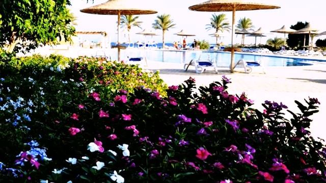 Paradise Club Shoni Bay 4* Марса-Алам, Египет смотреть онлайн