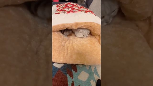 Это одеяло только для меня)))) смотреть онлайн