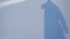 Лисичка Притворяется что Умерла. Напугала Мужика, Хитрая лисичка