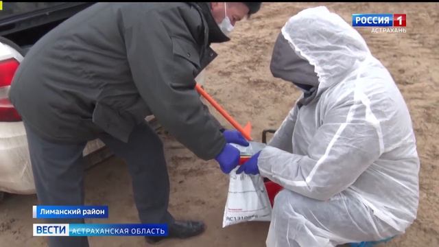 Астраханского предпринимателя оштрафовали за засоление сельхозземель.mp4 смотреть онлайн