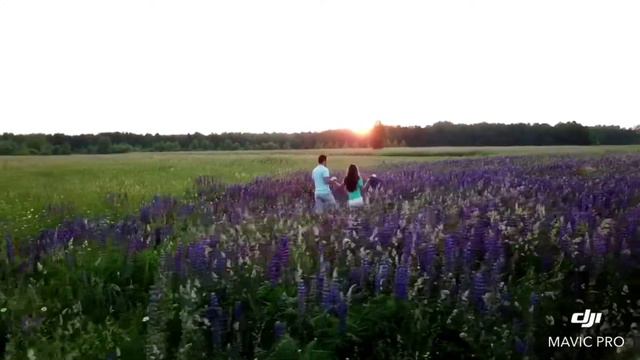 Love story с дрона в Мари Эл смотреть онлайн