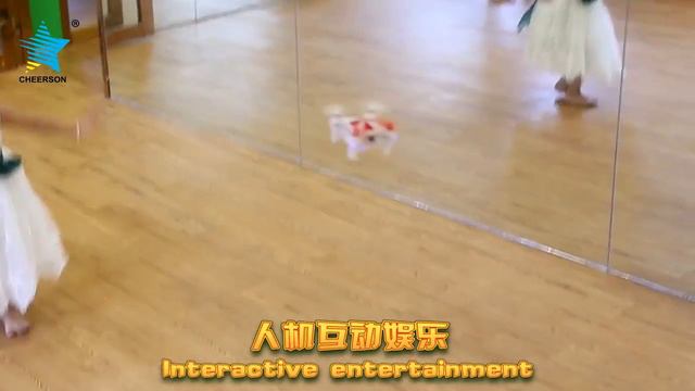 Cheerson CX-OF Optical Flow Mini RC Quadcopter - RTF смотреть онлайн