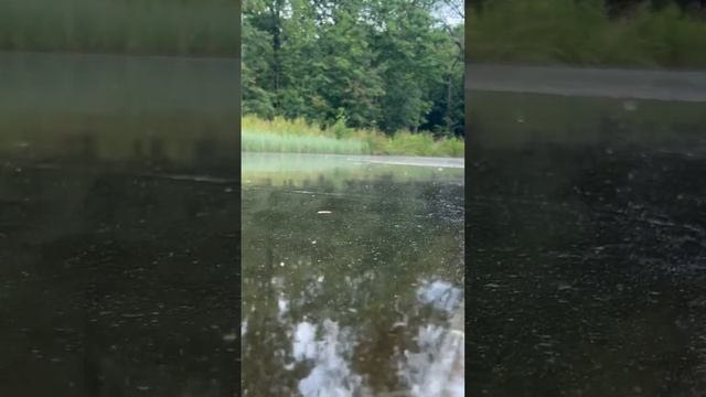 Удивительное место в Бельгии #vlog #жизньвбельгии смотреть онлайн