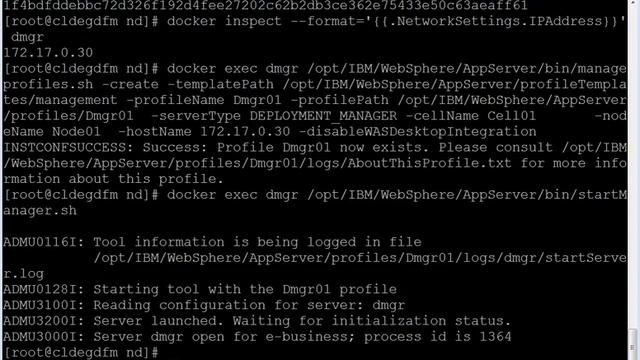 IBM WebSphere Application Server Network Deployment Cell Topology using Docker Containers смотреть онлайн