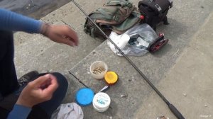 Рибалка на бомбарду. Травнева чехоня.