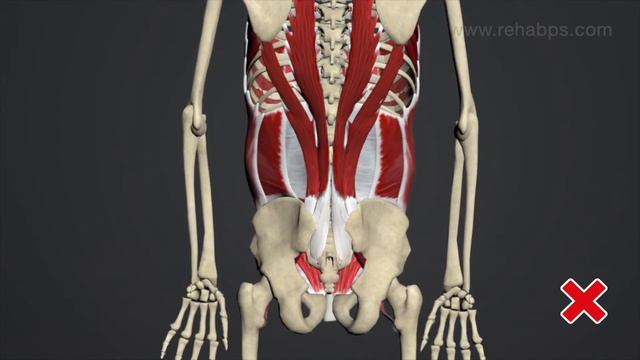 Clinical And 3D - DNS Assesment