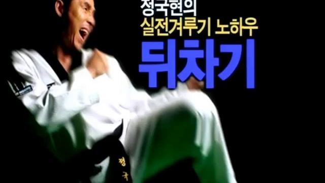 Taekwondo combat tutorial vol 1 Basic skills смотреть онлайн