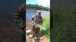 ОН СОБИРАЛСЯ ДОМОЙ  #fishing #рыбалка #леща #рек #рекомендации #шортс #реки