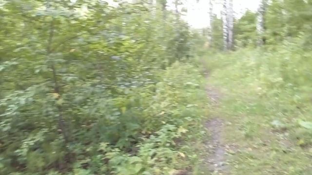 Собираем грибы/спасаем рыбок/заготовки на зиму смотреть онлайн