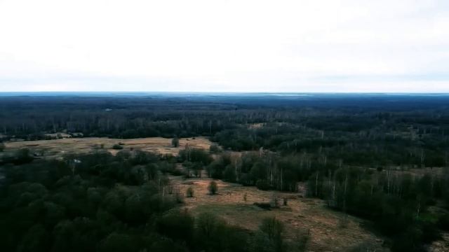 Откуда берутся городские легенды? Как создать легенду? Кто автор этих историй? | Краткое содержание смотреть онлайн