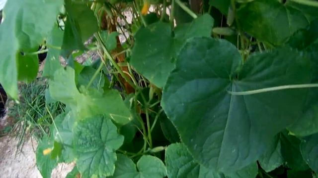 Зимний отдых 