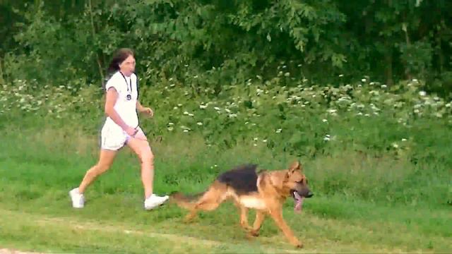 00010 Еsko Аlgero Lana 9mon смотреть онлайн