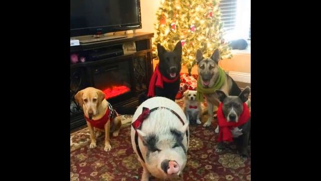 Глава 5. Акт 1. Скучная осень, обычные зимние каникулы смотреть онлайн