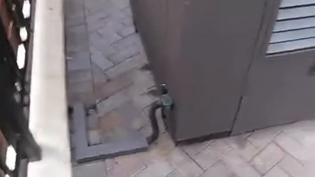 Генератор в мини контейнере смотреть онлайн