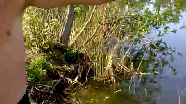 Копия видео Коля на рыбалке смотреть онлайн