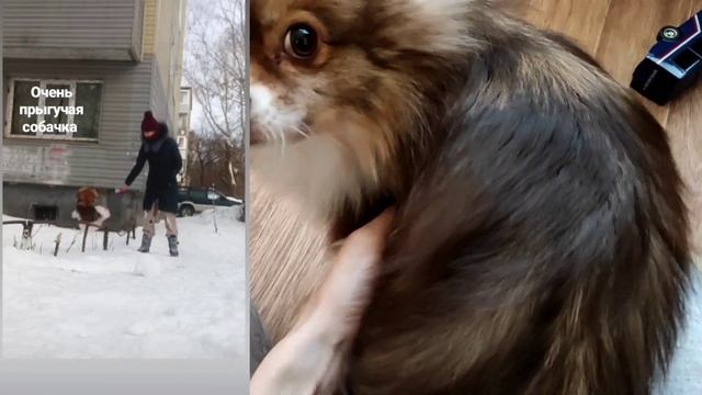 влог 4: я пыталась связать свитер, но это снова жилет / радости  материнства / время для себя / уют