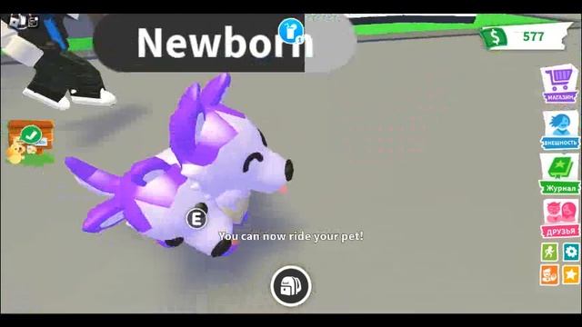 мой первый райд пет!!! спастбо викулёеку за сайт стар петс!!! смотреть онлайн