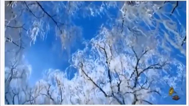 СНЕГИРИ КЛИП под МИНУС У З исп А Лебедев Зап 05 11 2019 г смотреть онлайн