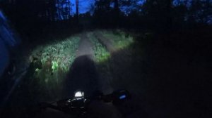 Атмосферная покатушка на Питбайке ночью по лесу [#13]