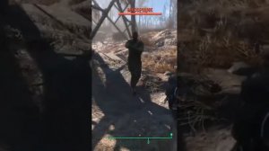 Очень редкая случайная встреча в Fallout 4. #fallout #fallout4 #фоллаут4 #фоллаут #mrcatgame