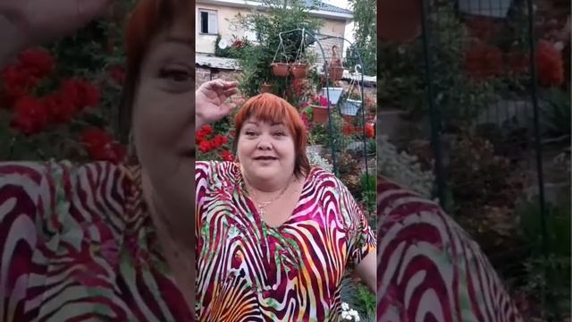 настроение смотреть онлайн