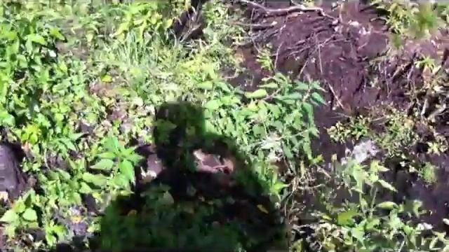 31.08.2014 - МОНТАЖ ТРУБЫ КАНАЛИЗАЦИИ КОРСИС 160мм смотреть онлайн